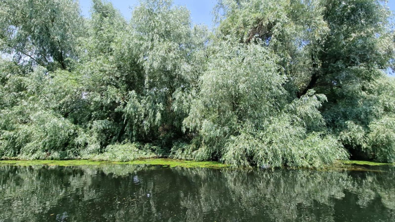 Pontonul Lui Cristian Hotel Mahmudia Buitenkant foto